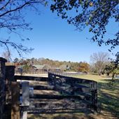 Green Acres
