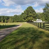 Bergmann Farm