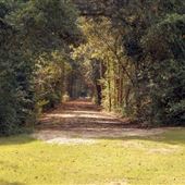 Landon Farm II