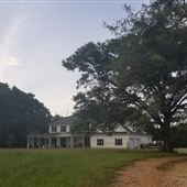 Rooks Property