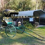 Blue Heron Farm-Photography Park