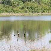 Milton "Buddy" Hopkins Nature Preserve