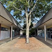 Holly Hill Mall