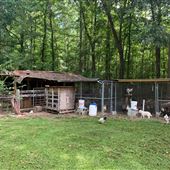 Nature Tamer Farm