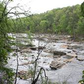 Sweetwater Creek State Park