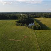 Hanners Farm-Brooks, GA