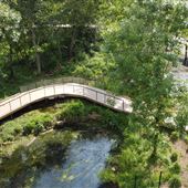 River Boardwalk Trail at Chattahoochee Nature Center (CNC)