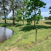 Cedar Hill Flower Farm