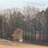 K & E Ranch