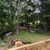Deer Lick Park
