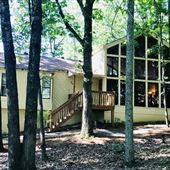 Mid-century Cedar House with a wall of windows