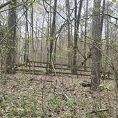 Overgrown Acre with Creek and Wooded Backdrop