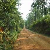 Monticello Country Roads