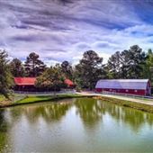 Glasshouse Farms & Equine Ranch