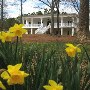 Residence of Mark & Telia Hanks