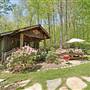Wintermont-246acres in Dawsonville, GA
