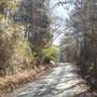 Dirt Road...Bryant Boys Road