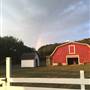 McCauley Farm