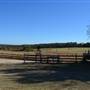 Steed's Dairy Farm