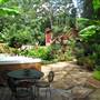 1 Acre Tropical Backyard