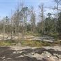 Lithonia Rock quarry