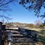 Green Acres