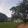 Rooks Property