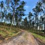 Acreage in Franklin County