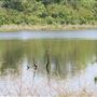 Milton "Buddy" Hopkins Nature Preserve