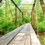 Coggins Road Bridge