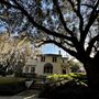 SAVANNAH HISTORIC HOME