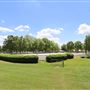 Georgia International Horse Park Event/Equestrian Areas