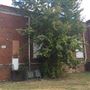 Bibb City School
