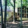 Mid-century Cedar House with a wall of windows