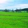 Resaca Battlefield Park