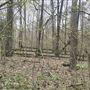 Overgrown Acre with Creek and Wooded Backdrop
