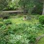 Dunaway Gardens