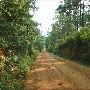Monticello Country Roads