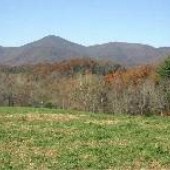 Duckett Property