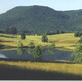 McLemore Cove