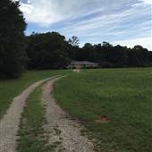 Wilson Farm