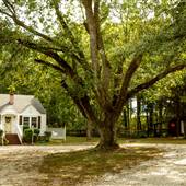 The Country Cottage