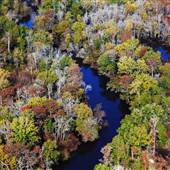 Ogeechee River