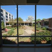 Atlanta Center for Medical Research