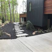 Modern River House