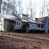 The Forest House