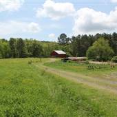 Bennett Property