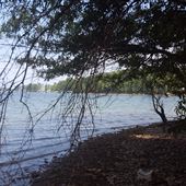 Pine Acres Retreat