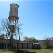 Palmetto Cotton Mill