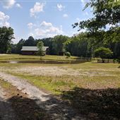 Wilder creek